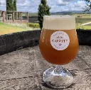 cuppitt bristol.webp