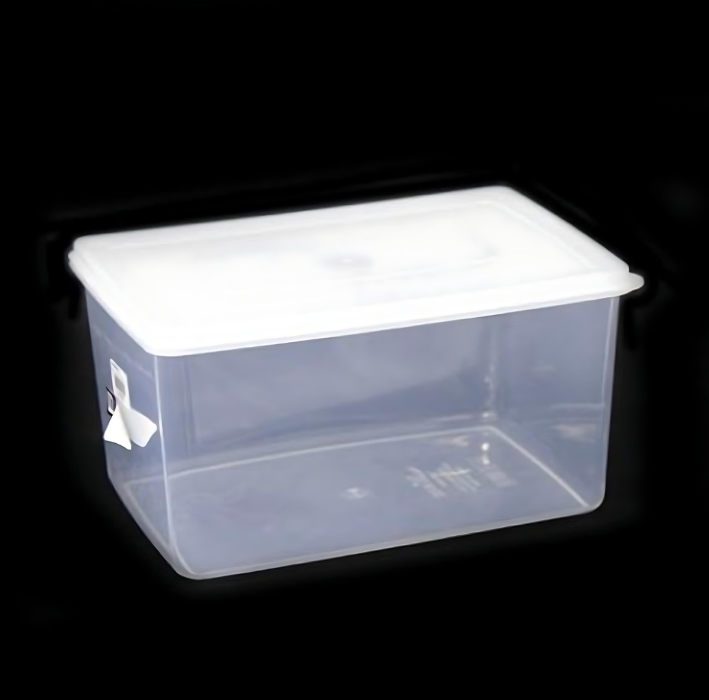 Food Storage Box - White - 4.6L - 260mmx180mmx140mm - 0843