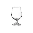 Sahm Bristol Stemmed Goblet 0.3L